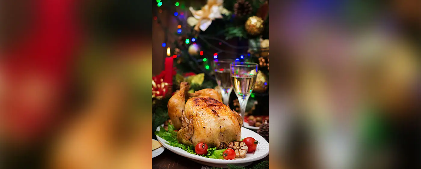 Thanksgiving, Leela style!