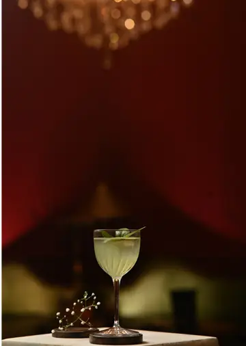 A Hidden Gem in the Pink City, Lifestyleinsider,lifestyleinsider