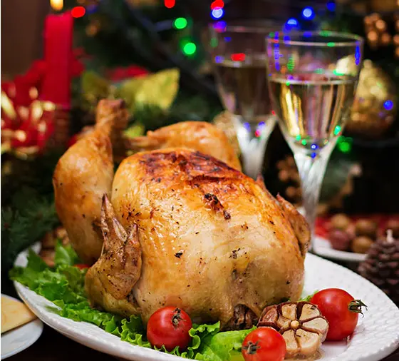 Thanksgiving, Leela style!